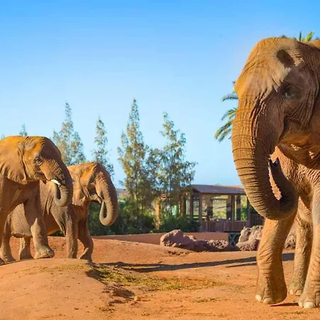 1-bed Sleeps 2 Garden & Pool Access * Caleta De Fuste