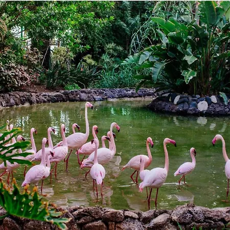 1-bed Sleeps 2 Garden & Pool Access Apartment *