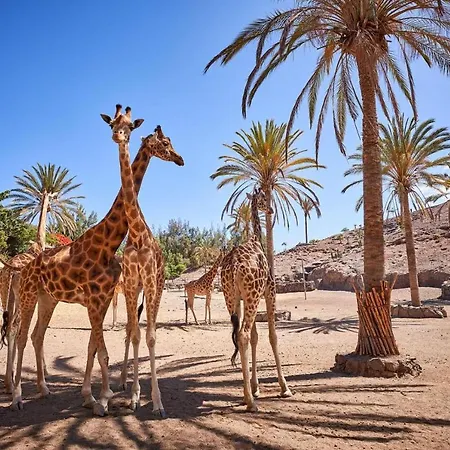 Apartamento 1-bed Sleeps 2 Garden & Pool Access