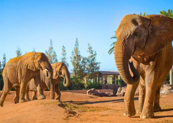 1-bed Sleeps 2 Garden & Pool Access * Caleta De Fuste