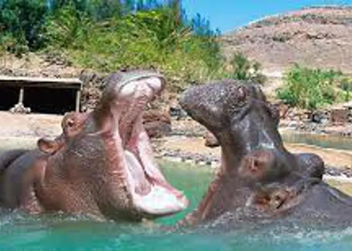 Apartmán 1-bed Sleeps 2 Garden & Pool Access Caleta De Fuste