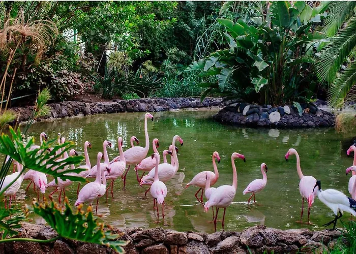 1-bed Sleeps 2 Garden & Pool Access Apartmán *