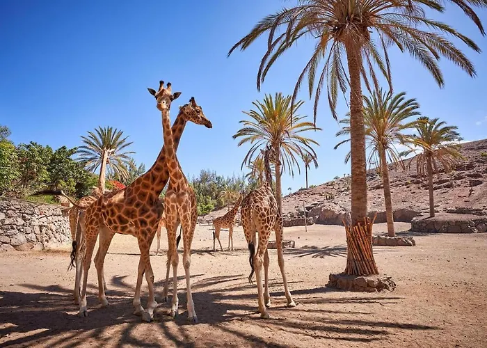 Apartmán 1-bed Sleeps 2 Garden & Pool Access