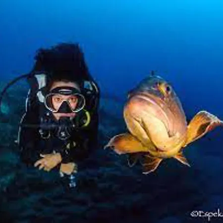 Daire 1-bed Sleeps 2 Garden & Pool Access Caleta De Fuste