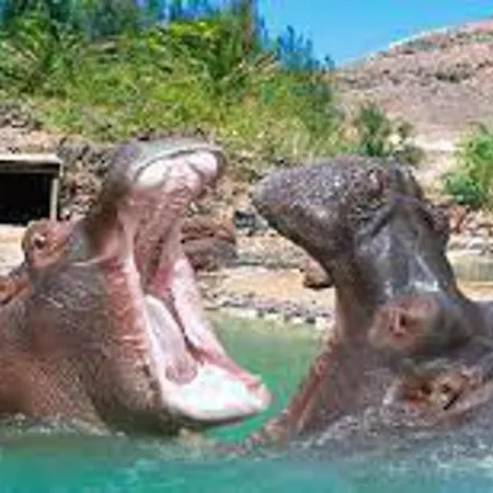 Daire 1-bed Sleeps 2 Garden & Pool Access Caleta De Fuste